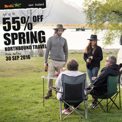 Britz Camper Remarketing Project